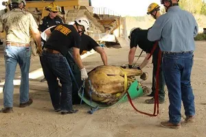 2016 advanced animal technical rescue workshop